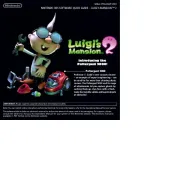 Nintendo
