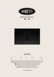 Boretti