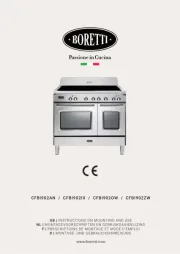Boretti