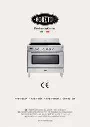 Boretti