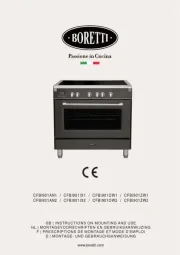 Boretti