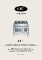 Boretti