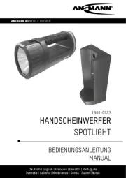 Ansmann