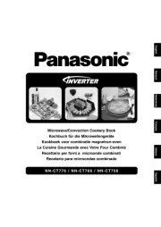 Panasonic