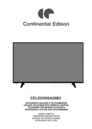 Continental Edison