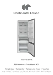 Continental Edison
