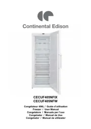 Continental Edison