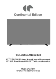 Continental Edison