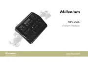Millenium