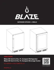 Blaze