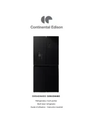 Continental Edison