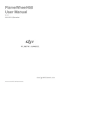 DJI