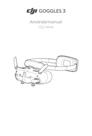 DJI