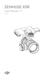 DJI