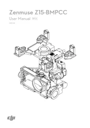DJI