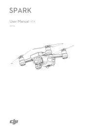 DJI