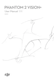 DJI