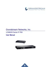 Grandstream