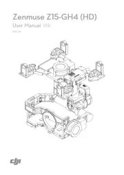 DJI