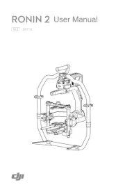 DJI