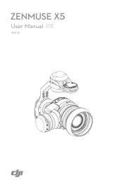 DJI