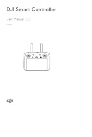 DJI