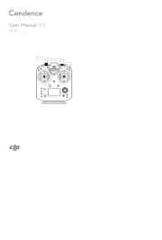 DJI