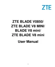 ZTE