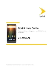ZTE