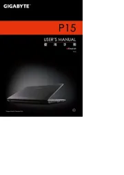 Gigabyte