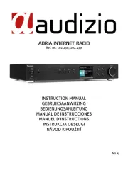 Audizio