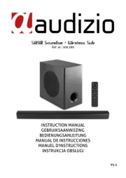 Audizio