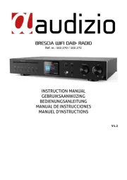 Audizio