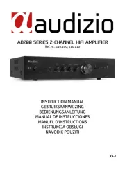 Audizio