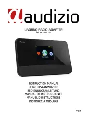 Audizio