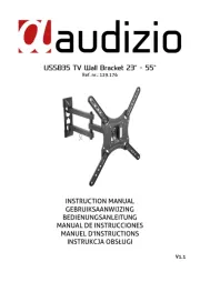 Audizio