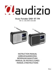 Audizio