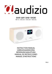 Audizio