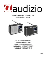 Audizio