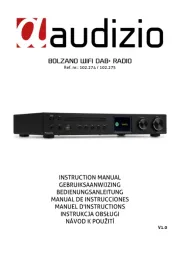 Audizio