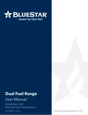 BlueStar