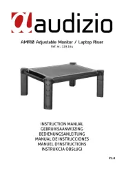 Audizio