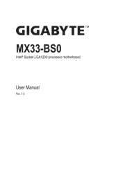 Gigabyte