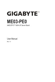 Gigabyte