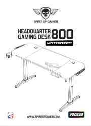 Spirit Of Gamer