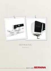 Bernina