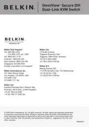 Belkin