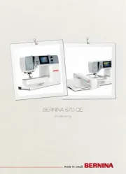 Bernina