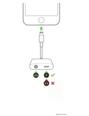 Belkin