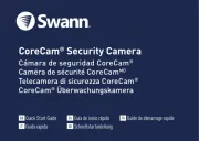 Swann